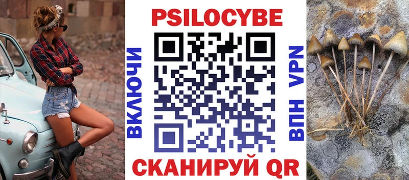 где найти   Ряжск  Псилоцибиновые грибы прущие грибы 